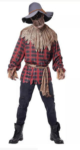 Bad Harvest Scarecrow