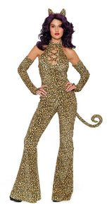Here Kitty Kitty