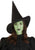 Elphaba Witch Hat