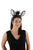 Zebra Ears Headband and Tail