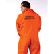 Got Busted Prison Suit Plus Size