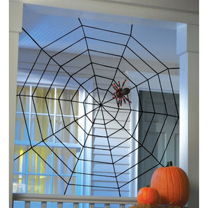 5FT Rope Spider Web