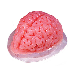 Brain Gelatin Mold