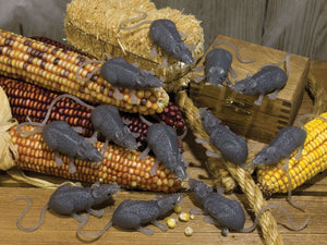 Bag of Mice (12)