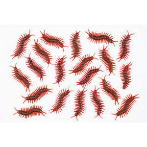 Bag of 20 Centipedes