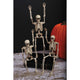 14" Poseable Skeleton