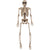 14" Poseable Skeleton
