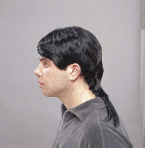 Veggimullet Wig Brown