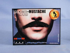 Monsieur Moustache Grey