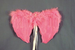 14" Mini Pink Feather Wings