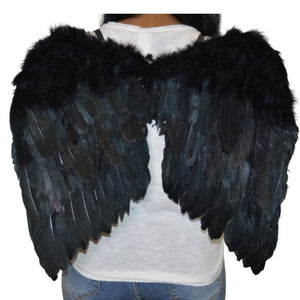 24" Black Feather Wings