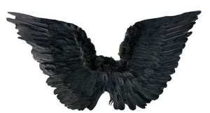 Black Feather Upwings