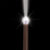 Dumbledore Light Up Wand DLX