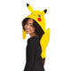 Pikachu Accessory Kit