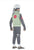 Kakashi Child