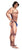 Male Body Builder