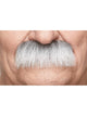 Grandpa Moustache Grey & White