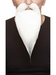Philosopher Beard & Moustache White