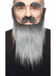 King Beard/Mustache/Eyebrow Salt/Pepper