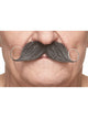 Curled Gentleman Moustache Salt & Pepper