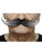 XL Long Curled Moustache Salt & Pepper