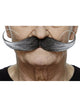 XL Long Curled Moustache Salt & Pepper