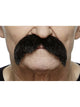 Walrus Moustache Black