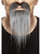 Moustache and Long Goatee Salt & Pepper