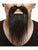 Moustache and Long Goatee Black
