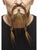 Pirate Beard and Moustache Brown