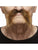 Bushy Moustache Brown