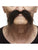 Bushy Moustache Black