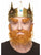 Bushy Beard and Eyebrows Berry Blonde