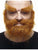 Bushy Beard and Eyebrows Berry Blonde