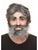 Bushy Beard and Eyebrows Salt & Pepper