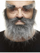 Bushy Beard and Eyebrows Salt & Pepper