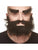 Bushy Beard and Eyebrows Black
