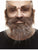 Bushy Beard and Eyebrows Brown & Grey