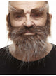Bushy Beard and Eyebrows Brown & Grey