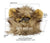 Small Lion Mane Dog