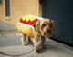 Hot Dog Pet Costume