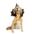 Witch Hat and Collar Pet Costume