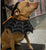 Witch Hat and Collar Pet Costume