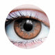 Twilght Hazel Contacts