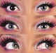 Charm Sapphire Contact Lenses