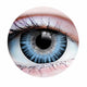 Temptress Ocean Contacts