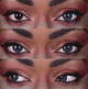 Temptress Ocean Contacts