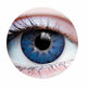 Enchanted Azure Contacts