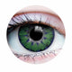 Enchanted Emerald Contacts