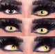 Raven Contact Lenses